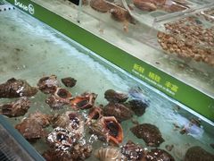 -永辉超市(鲁谷店)