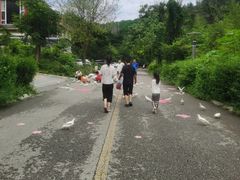 -燕塞湖鸟语林景区