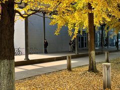 -四川大学(望江校区)