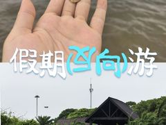 -碧海金沙