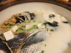 姜君千岛湖鱼头-姜君·千岛湖鱼头馆(浦东大道店)