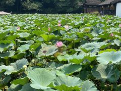 -兰亭风景区