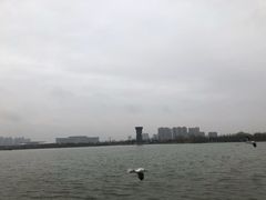 -灞河西岸滨河公园