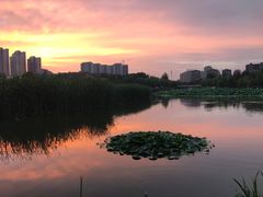 -前关湿地公园