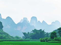 -明仕田园