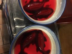 -杨家火锅(国美店)