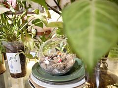-绿小院(荔湾店)