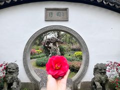 -绮园景区