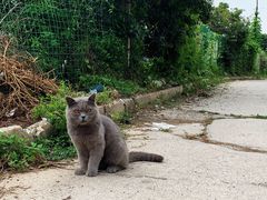 -阳台山自然风景区