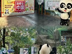 -灵玲国际马戏城