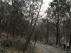 -阳台山自然风景区