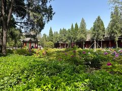 -洛阳白马寺