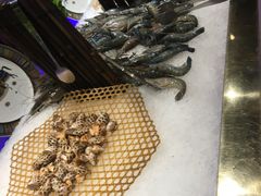 -加餐海鲜自助(集美银泰百货店)