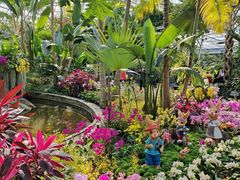 -北京植物园-展览温室