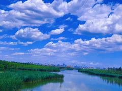 -西青郊野公园
