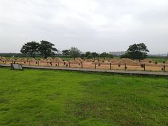 -盘龙城国家考古遗址公园