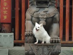 -川北道署