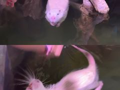 -正佳雨林生态植物园