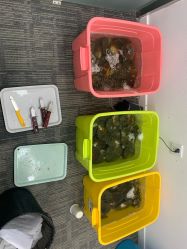 -邵老师打金·黄金加工(大望路总店)