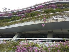 -深圳仙湖植物园-停车场