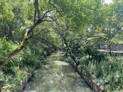 -河姆渡遗址博物馆