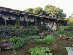 -中国茶叶博物馆(双峰馆区)
