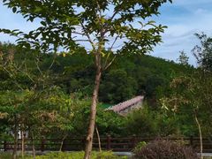 -广州白江湖森林公园