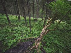 -硗碛藏寨·神木垒景区