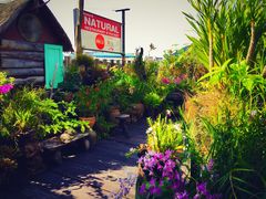 -自然餐厅(Phuket)