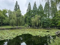-范蠡湖公园