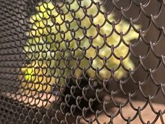 -喜湘宴·精致湖南菜(和平西桥店)