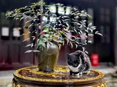 -西园戒幢律寺