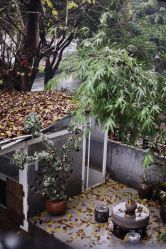 -无界瑜伽普拉提