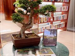 -二酉书店TOYOU BOOKS