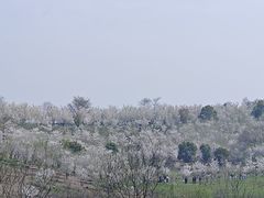 -宜兴龙背山森林公园