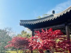 -莲花池公园