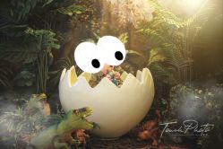 点击看大图 -韩国童感TOUCH PHOTO儿童摄影(朝阳分店)
