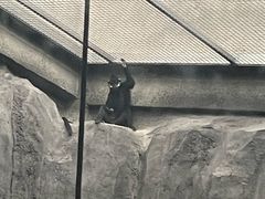 -武汉动物园