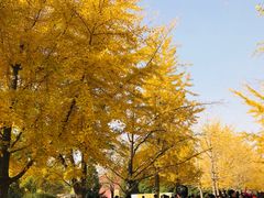 -辽宁大学(崇山校区)