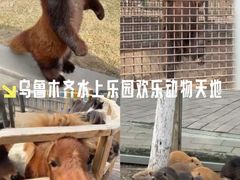 -水上乐园·欢乐世界