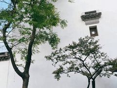 -广富林郊野公园
