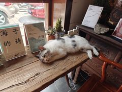 -甲乙丁書店·书茶咖·四合院