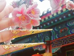 -白家大院·王府宫廷菜(苏州街店)