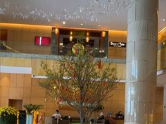 -芽庄喜来登水疗酒店