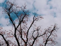 -丹山赤水风景名胜区