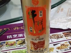 -南阳食府·河南豫菜(南阳驻京办店)