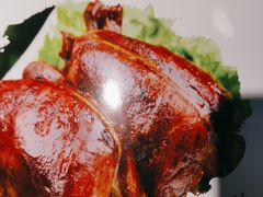 -京城·森鸽排档(双井店)