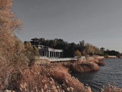 -青龙湖公园