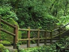 -西岭雪山大飞水景区
