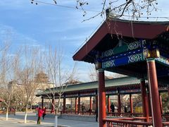 -莲花池公园